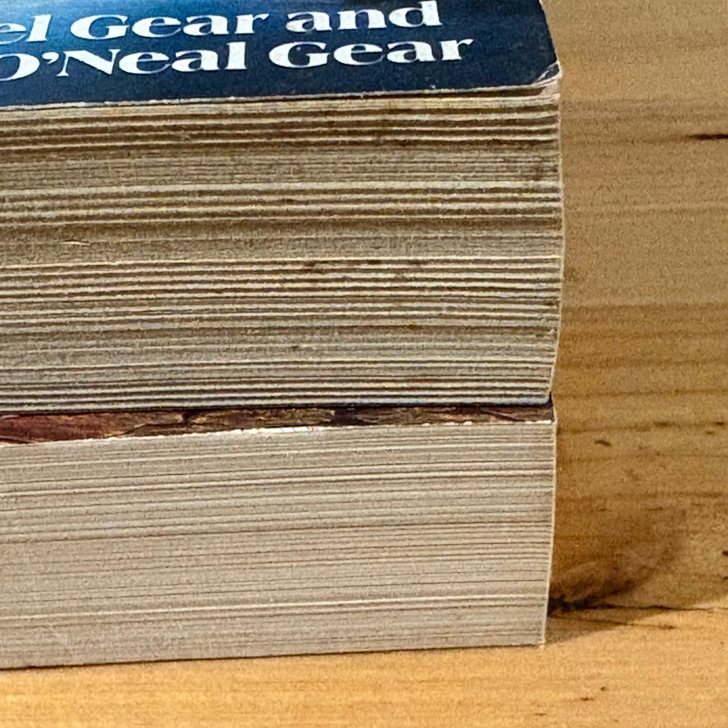 People Of The Fire & The River Michael Gear and Kathleen O'Neill Gear Paperback x 2