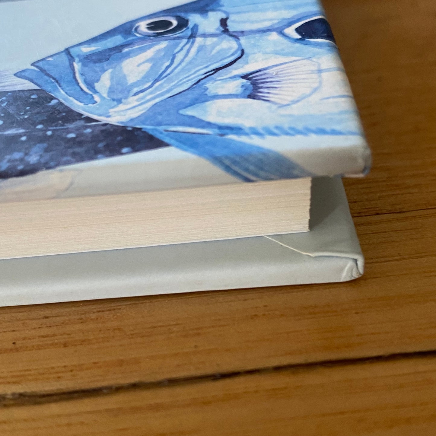 The Fisherman's Bucket List by Paul Worstelling Hardcover 2011 GD