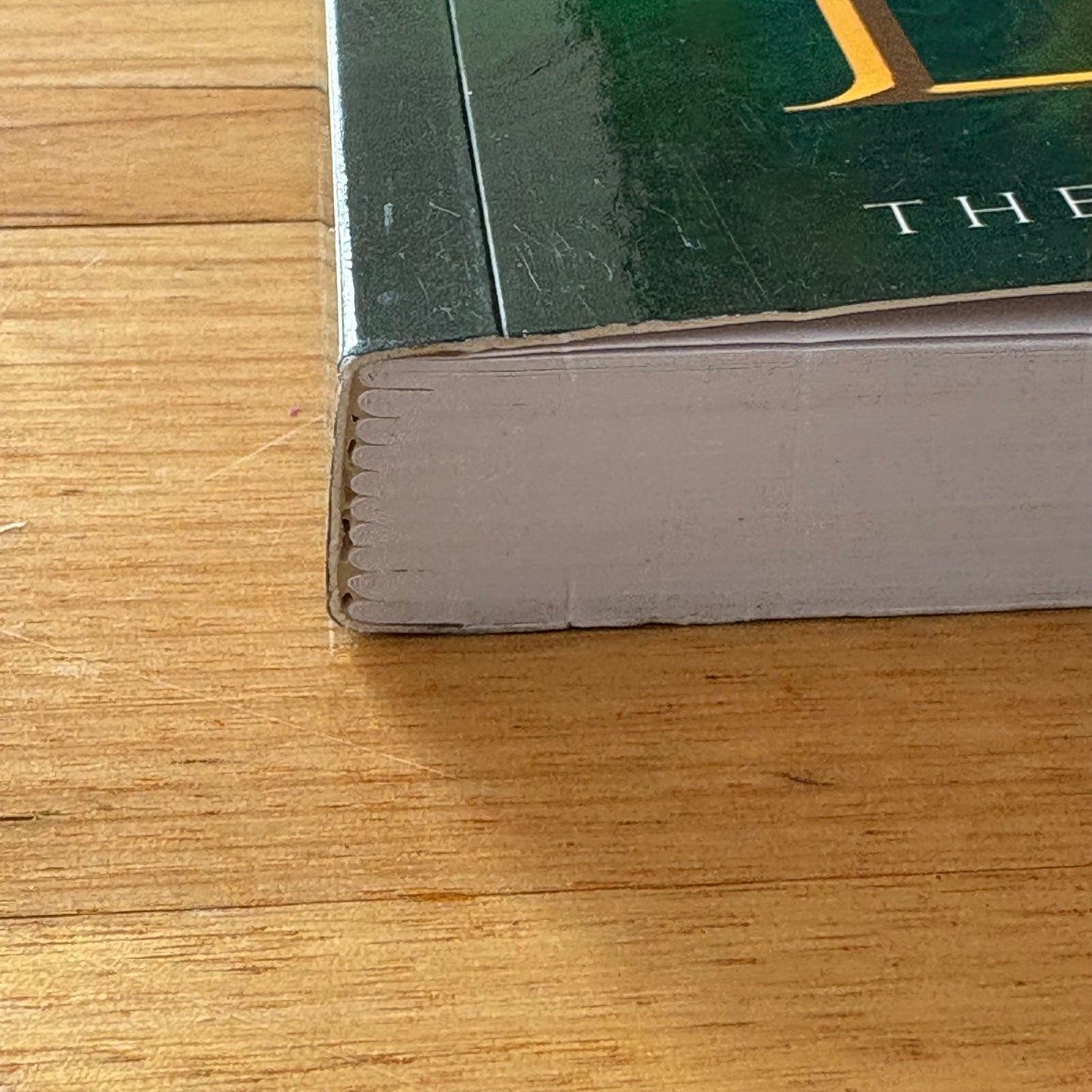 The Beginning Of The End Adam J. Scholte Fantasy Paperback 2022 GD