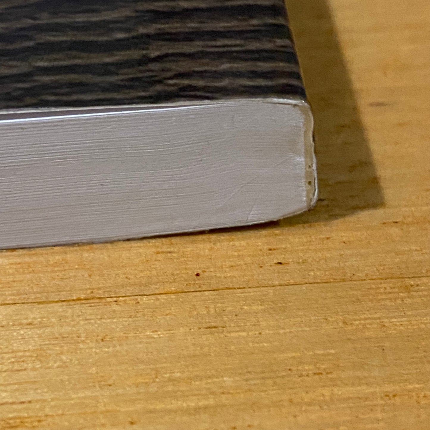 Saint Magnus The Last Viking by Susan Peek Paperback 2015 GD