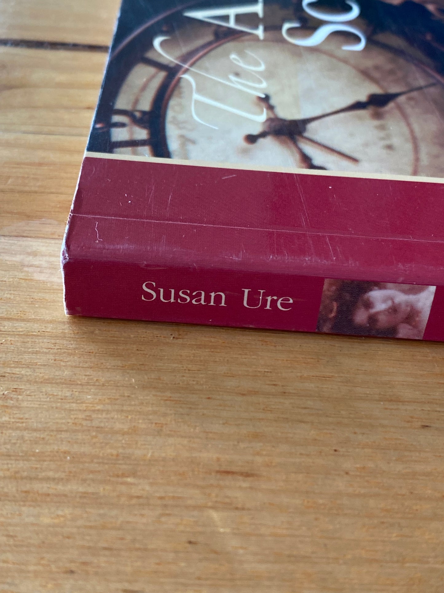 The Altered Scrapbook by Susan Ure Paperback 2006 GD