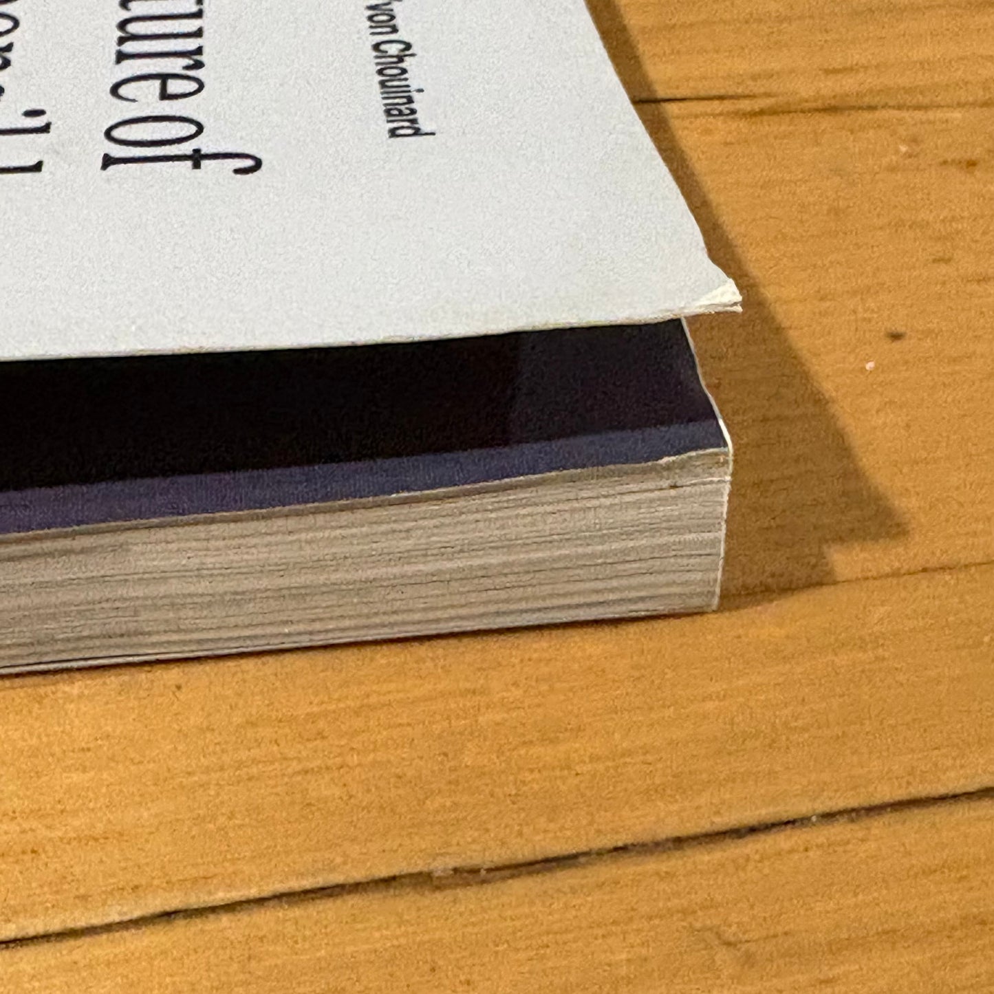The Future Of The Responsible Company Patagonia 2023 Paperback GD