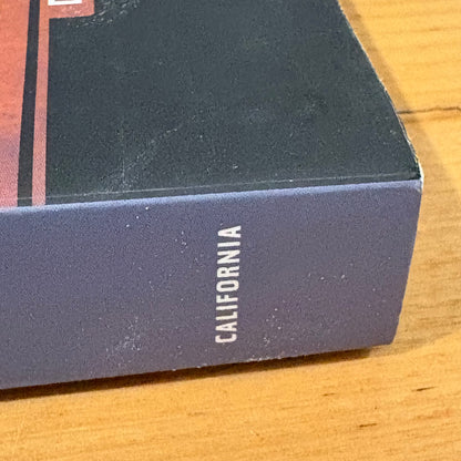 Yakuza Japan's Criminal Underworld Extended Edition Paperback 2003