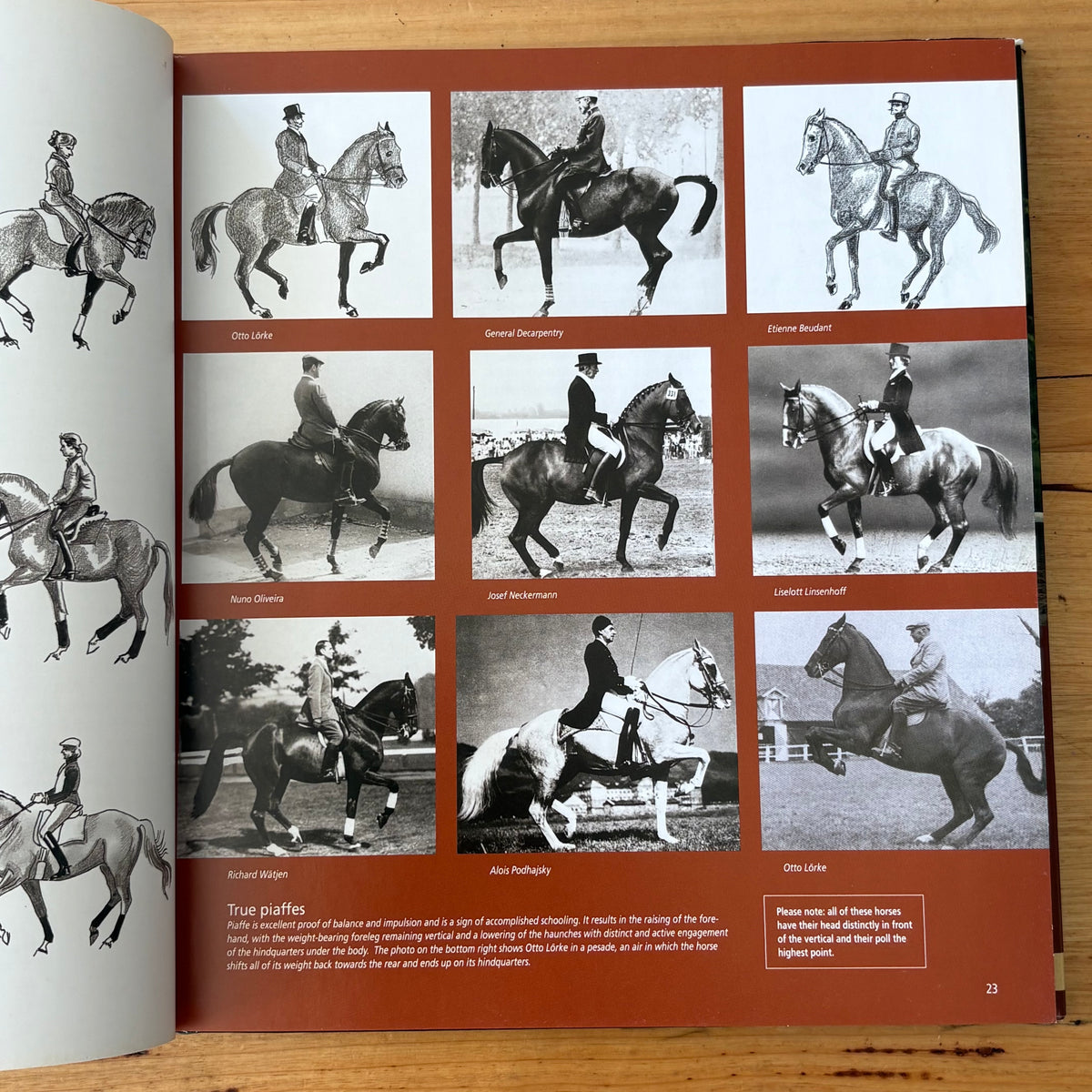 Twisted Truths of Modern Dressage by Philippe Karl Hardcover 2008 GD