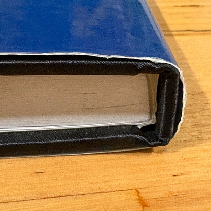 The Arts and Youth At Risk Global and Local Challenges Hardcover 2008 GD