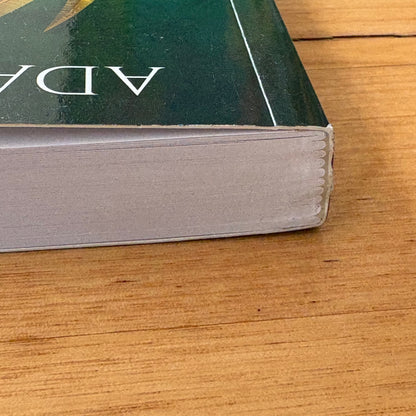 The Beginning Of The End Adam J. Scholte Fantasy Paperback 2022 GD