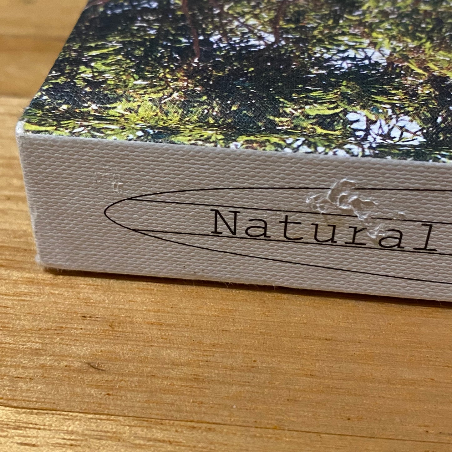 Natural Harry Delicious Plant Based Summer Recipes by Harriet Birrell Hardcover 2015 GD