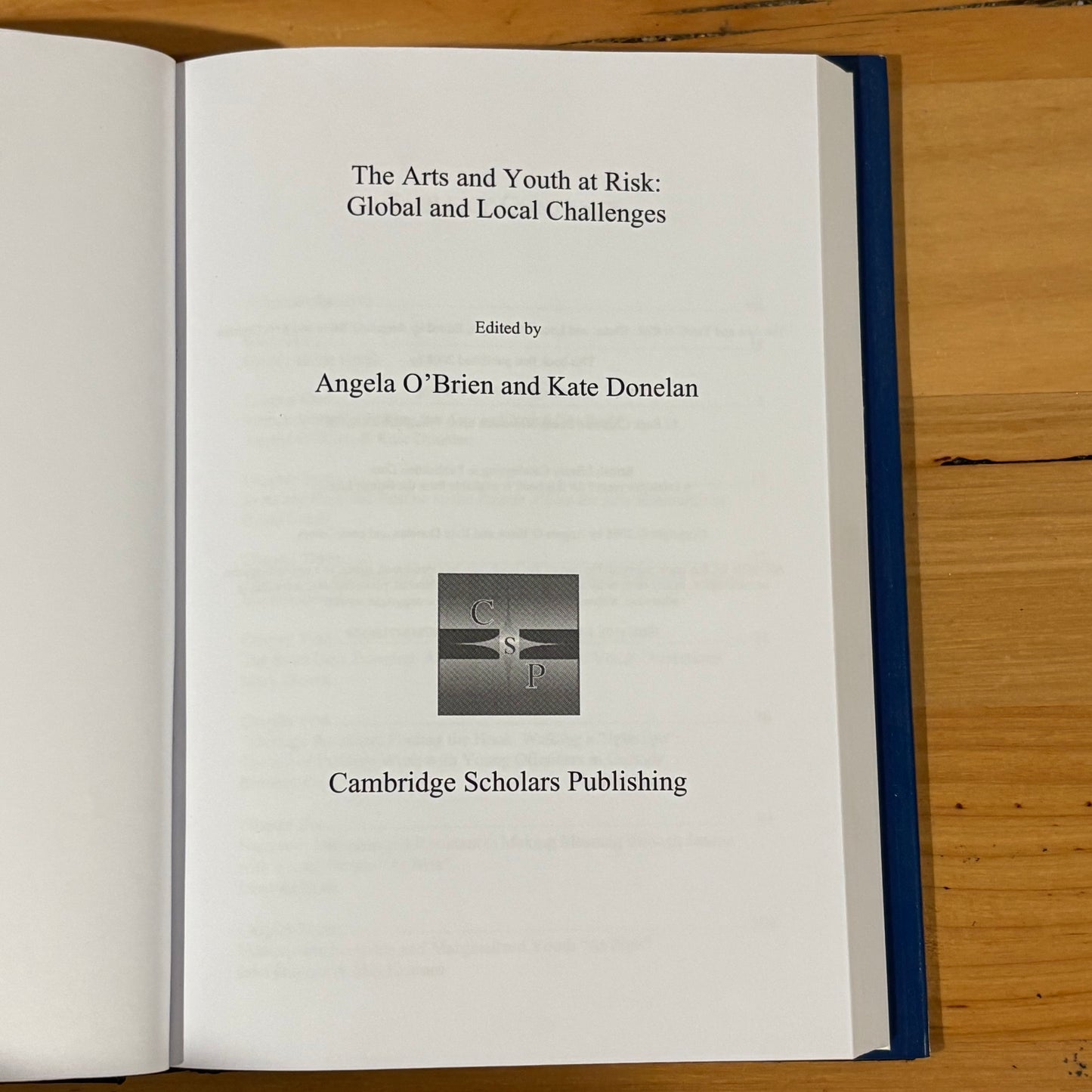 The Arts and Youth At Risk Global and Local Challenges Hardcover 2008 GD