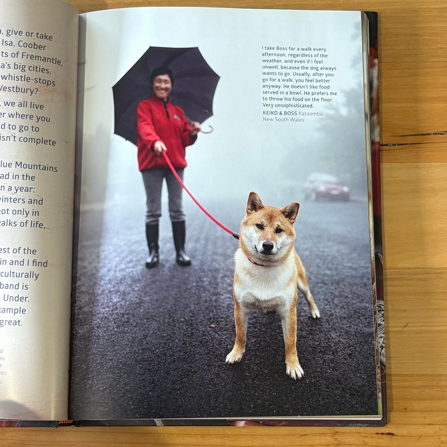 A Girl's Best Friend by David Darcy Hardcover GD