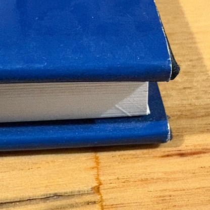 The Arts and Youth At Risk Global and Local Challenges Hardcover 2008 GD