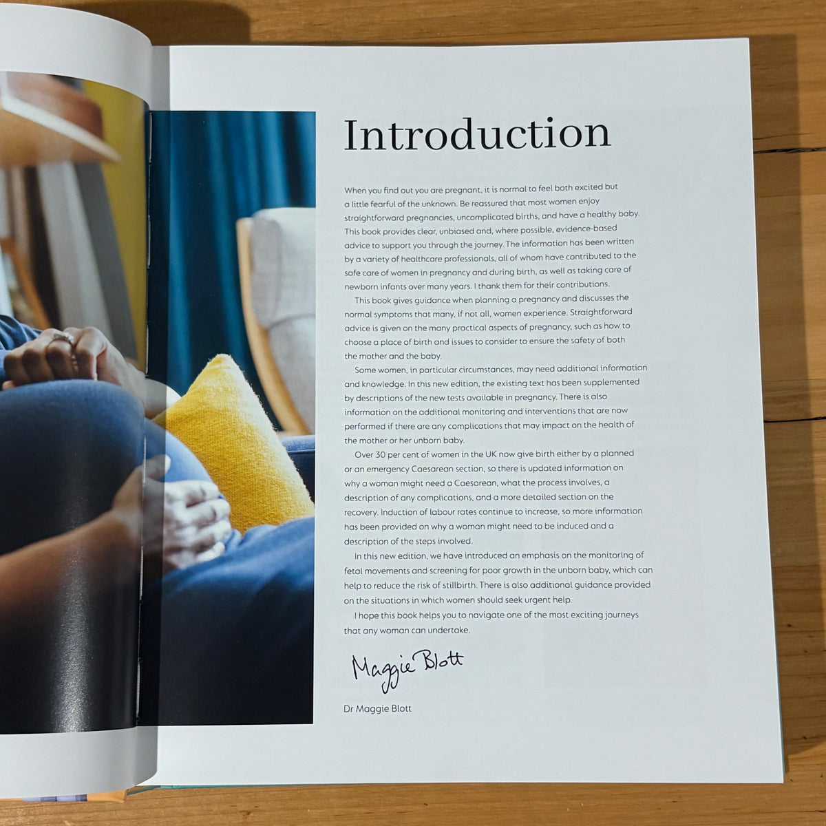 The Day-by-Day Pregnancy Book by Dr Maggie Clott Hardcover 2022 GD
