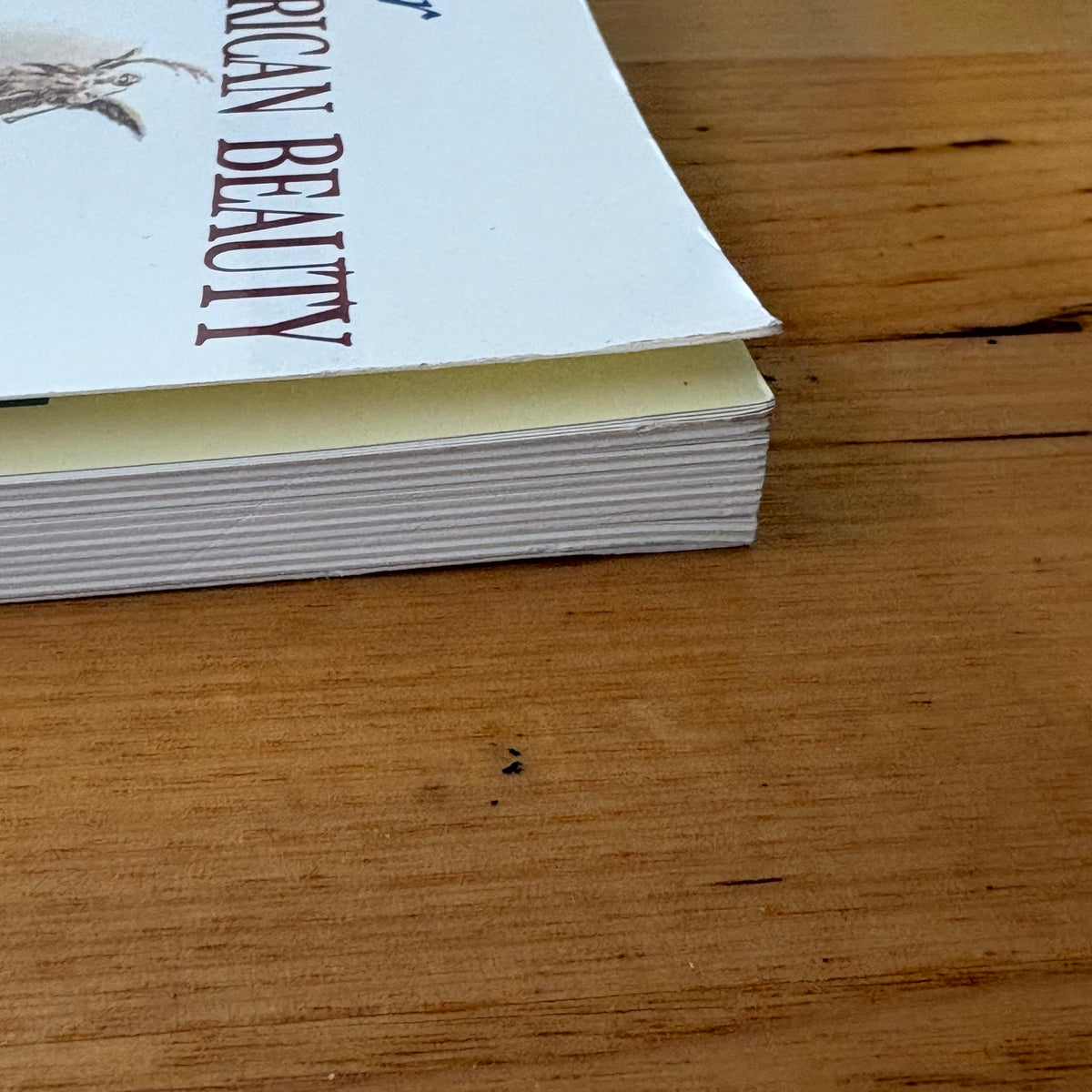 Harrison Fisher Defining The American Beauty Paperback 1999 GD
