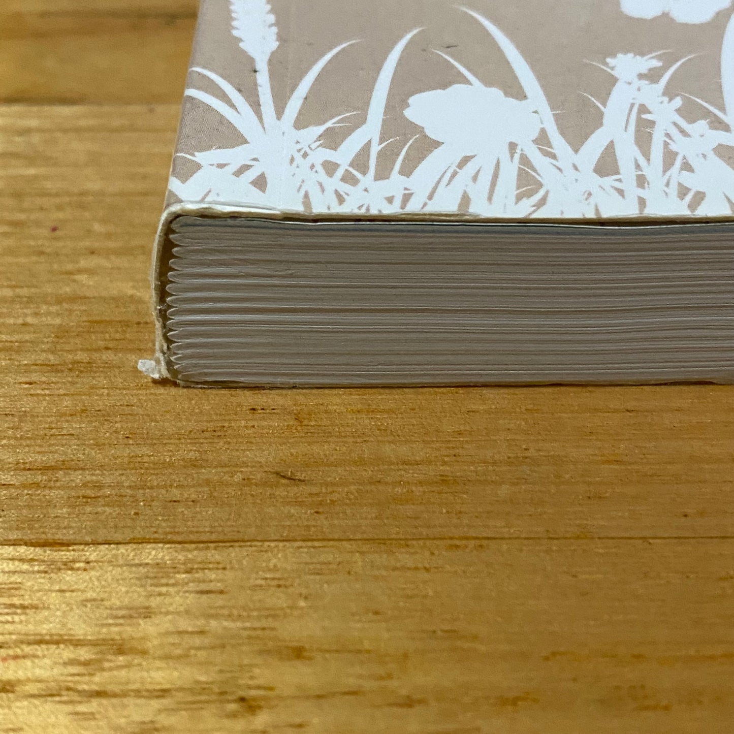 The Big Picture by Karen Kearns 4th Edition Paperback GD