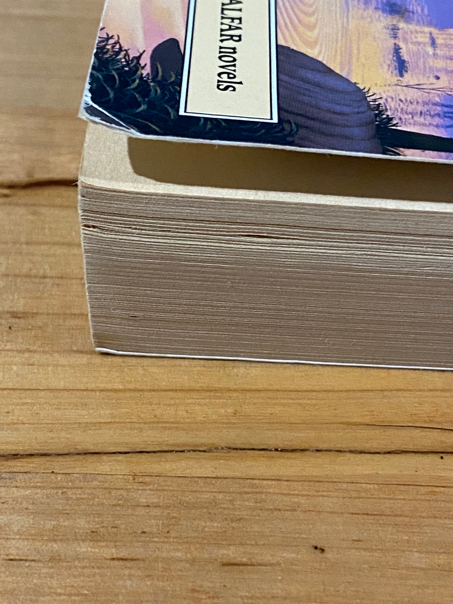 The Troll's Grindstone by Elizabeth H Boyer Paperback 1987 GD