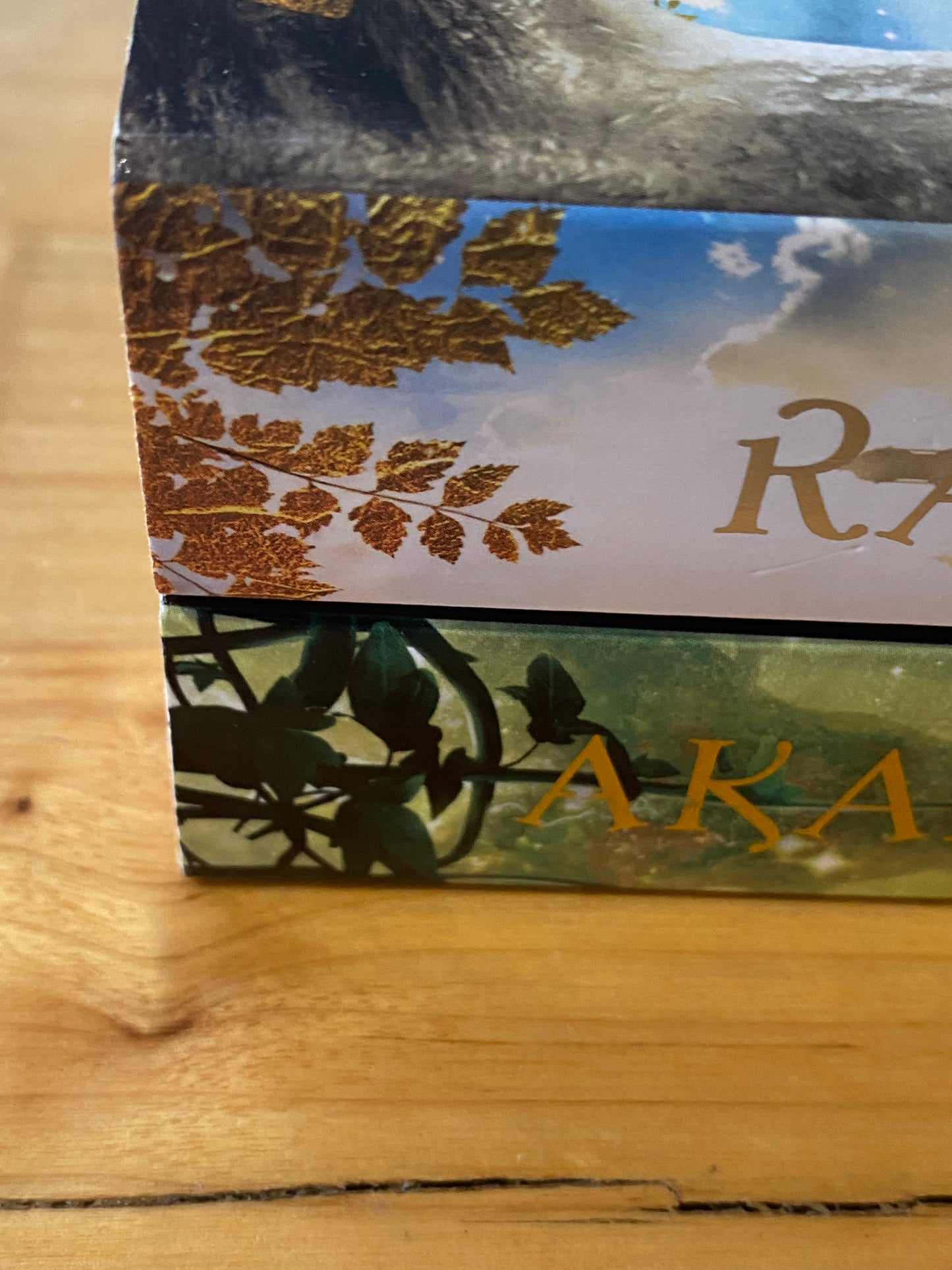 Arkanae Raelia The Medoran Chronicles by Lynette Noni 2 x Paperback Bundle GD