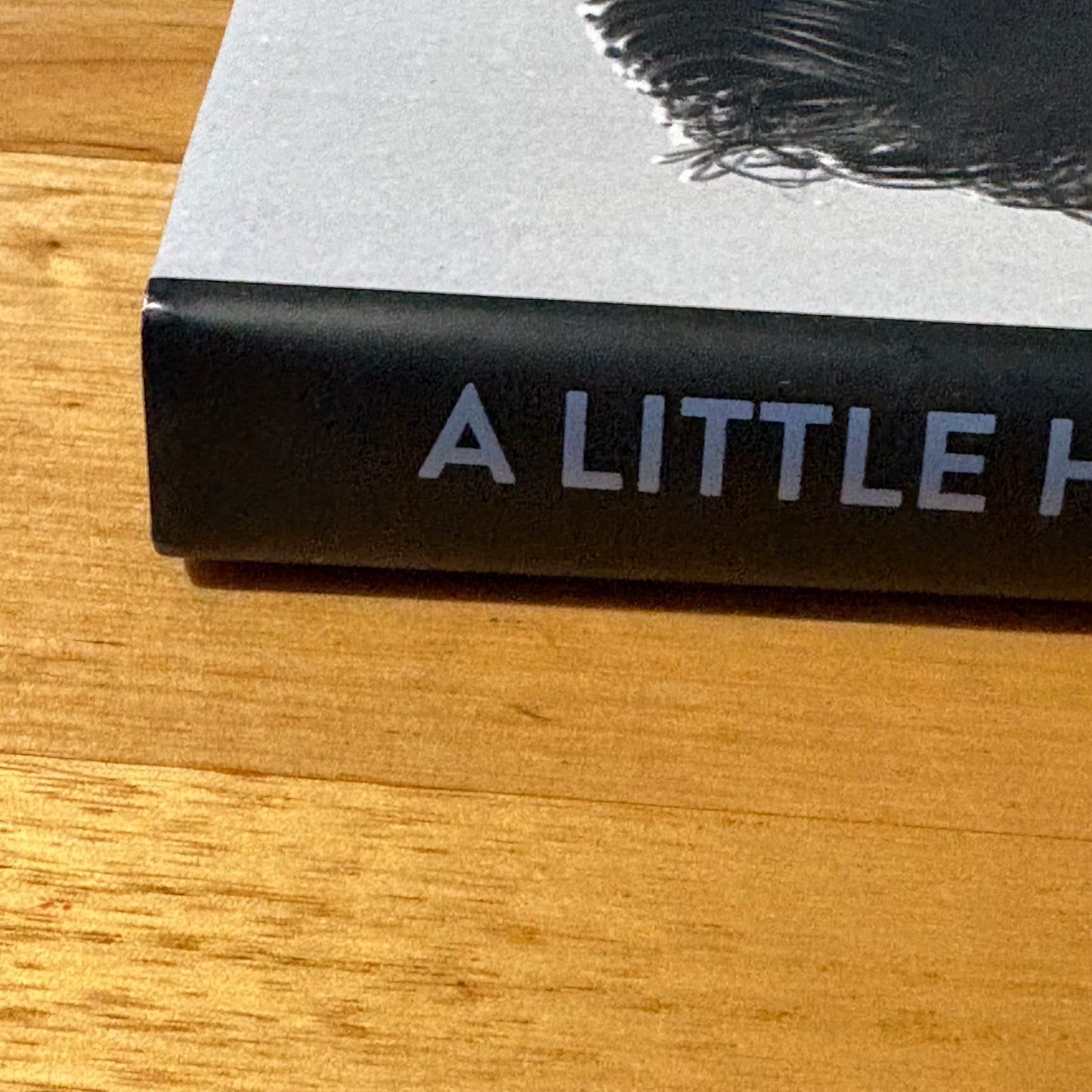 A Little History Nick Cave and Cohorts 1981-2013 Bleddyn Butcher Hardcover GD