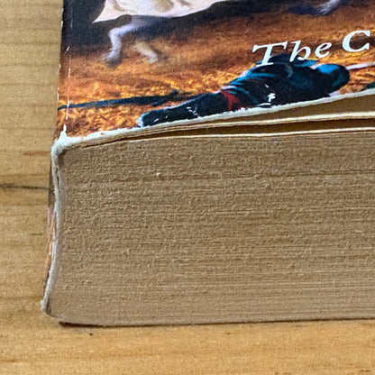 The Crippled Angel by Sara Douglass Paperback 2002 GD