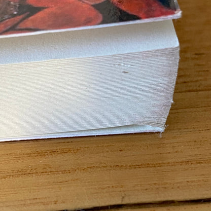 The Painter Of Lost Souls by Michael Vatikiotis Signed Paperback 2012 GD