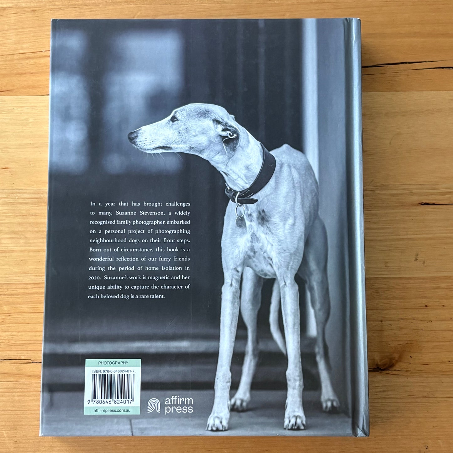Dogs on Doorsteps by Suzanne Stephenson Hardcover 2022 GD