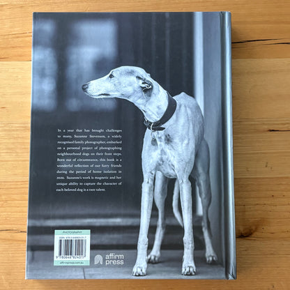 Dogs on Doorsteps by Suzanne Stephenson Hardcover 2022 GD