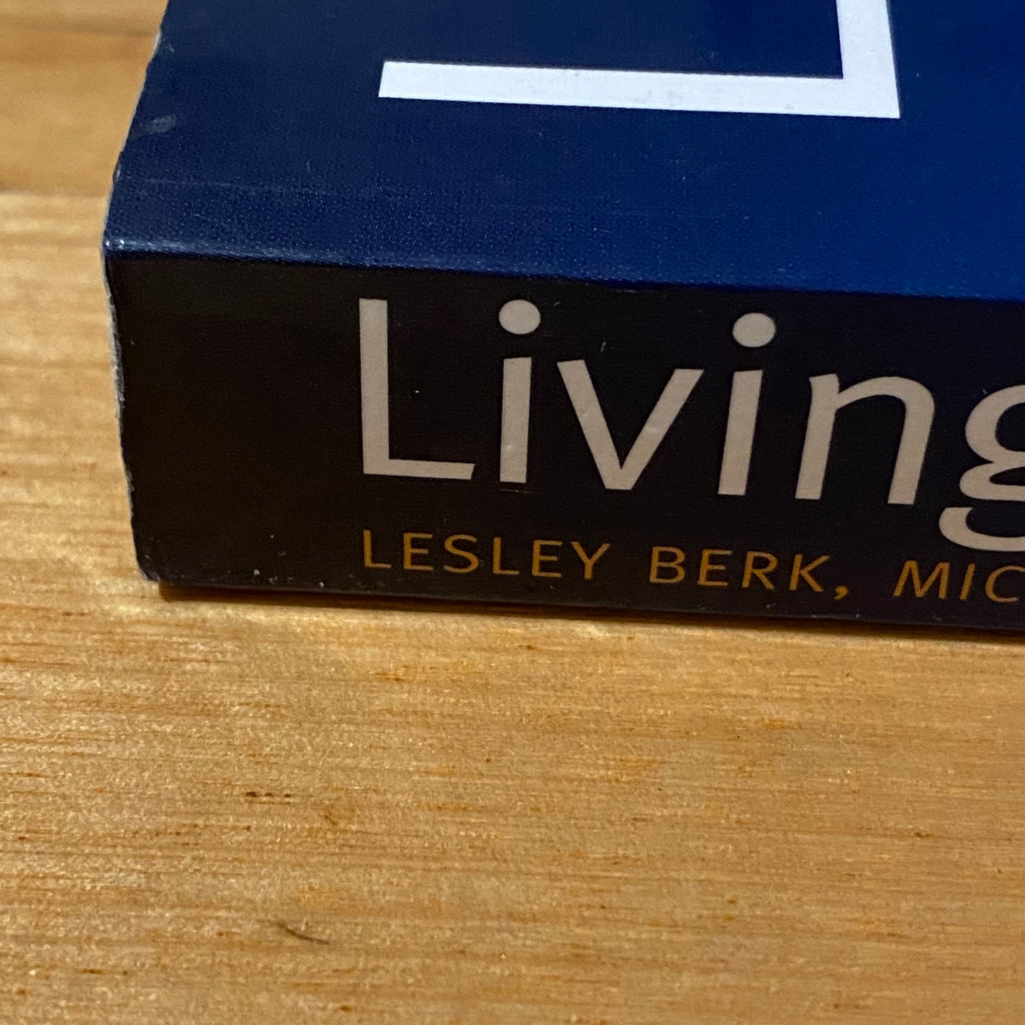 Living With Bipolar by Lesley & Michael Berk Paperback 2008 GD