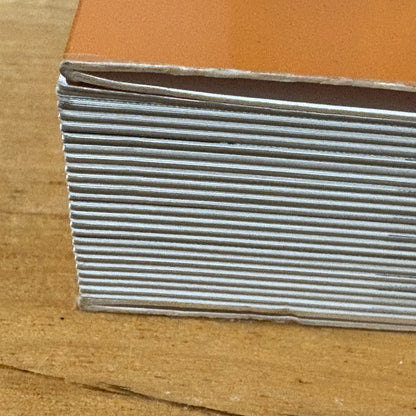 Beyond The Facade Flinders Street by Jenny Davies 2010 Softcover