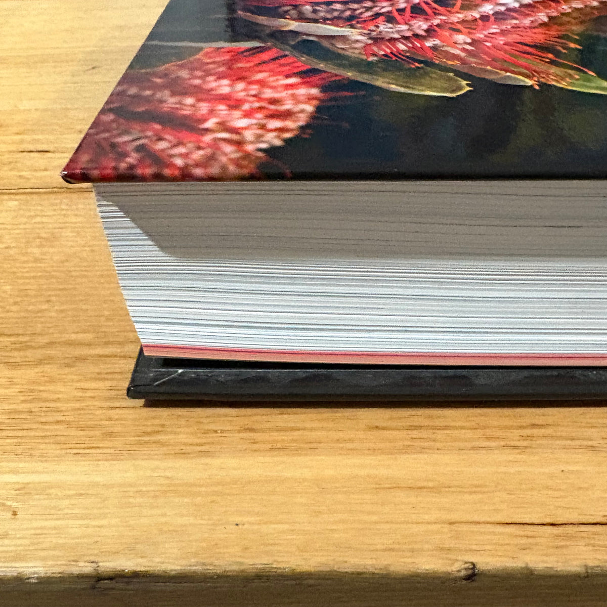 Campbell Biology AUS and NZ Version 11th Edition Lisa A. Urry Hardcover GD