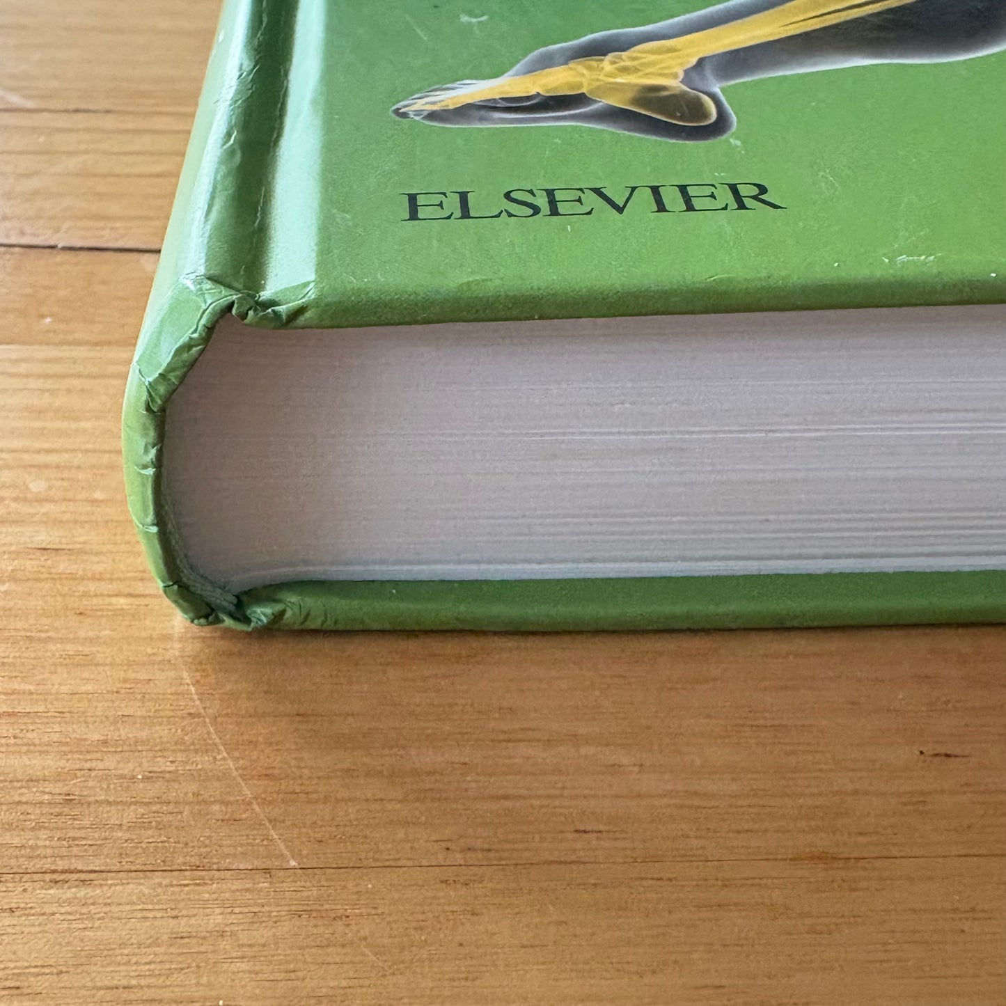 Jarvis's Physical Examination and Health Assessment 2e Hardcover GD