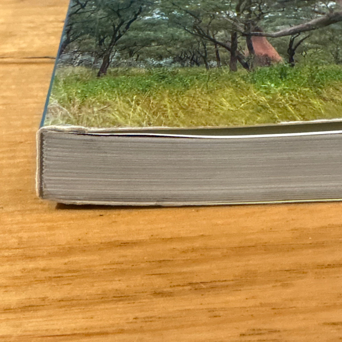 Australia's Remarkable Trees by Richard Allen and Kimbal Baker Softcover 2010