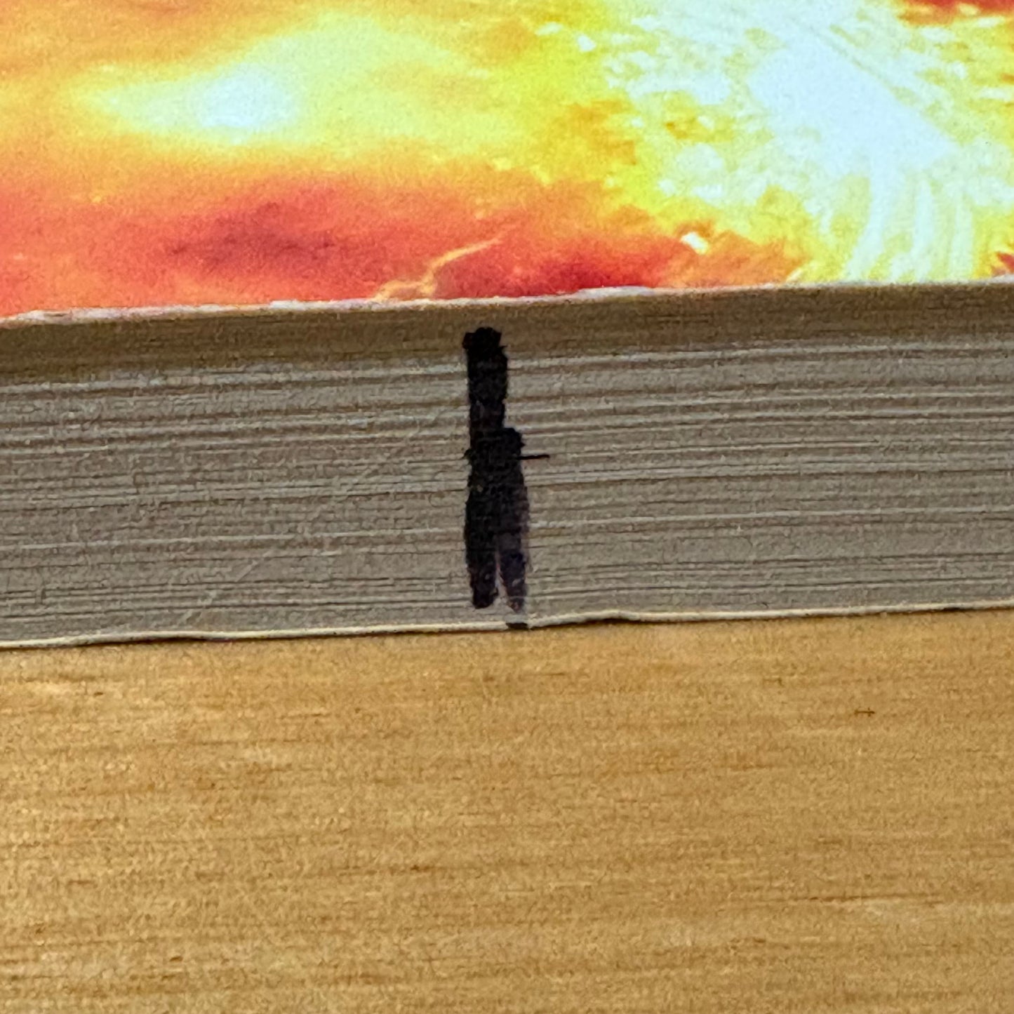 Stargate Atlantis Brimstone Wilson & Macomber Paperback Sci-Fi 2010 GD