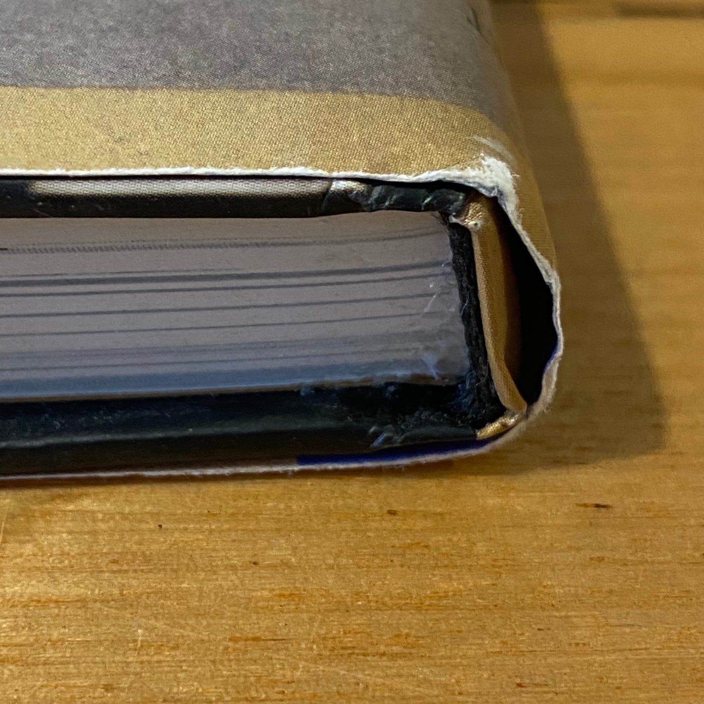 Lemony Snicket: The Unauthorised Biography 1st Print Hardcover 2003 GD