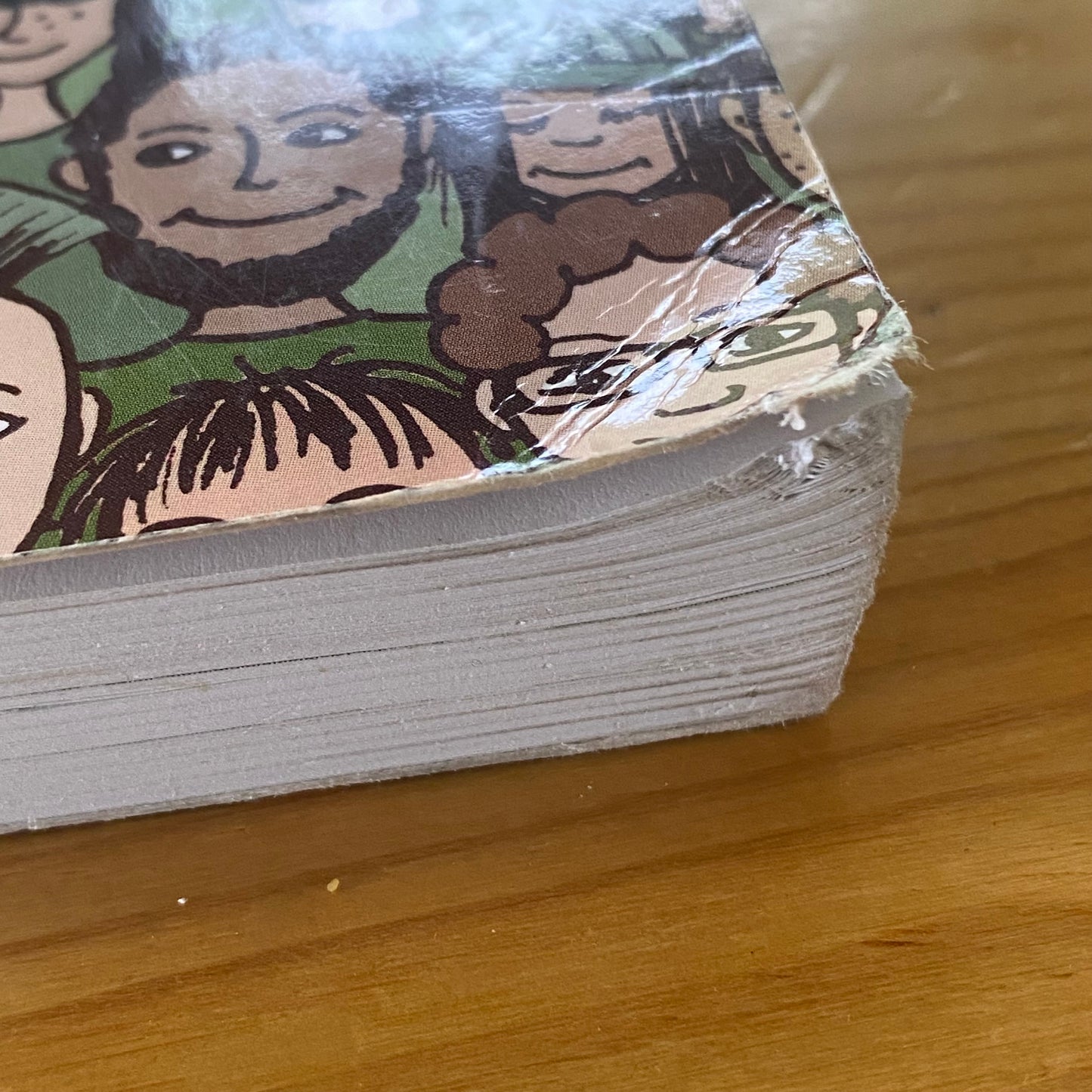 Understanding Sociological Theory For Educational Practices Second Edition Paperback GD