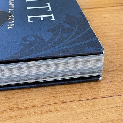 Frostbite A Vampire Academy Graphic Novel Richelle Mead Leigh Dragoon VG