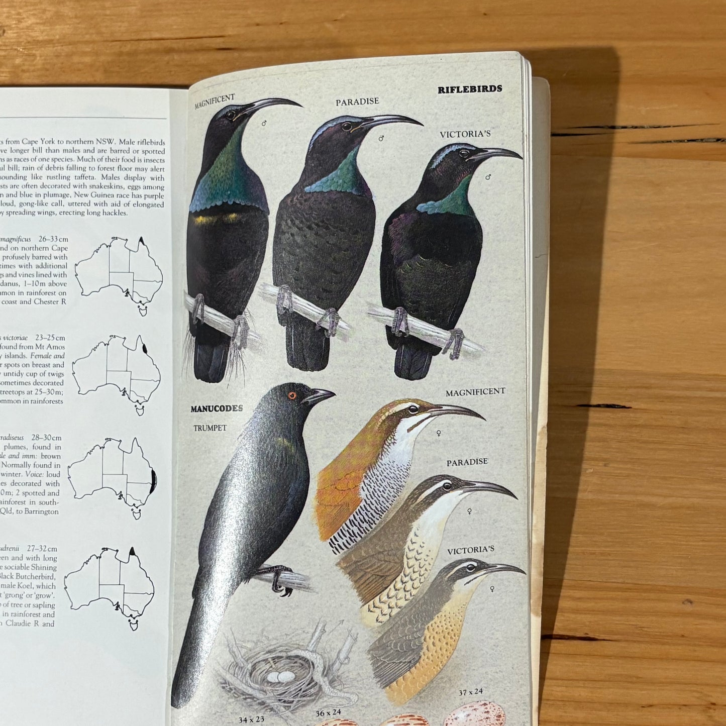 The Slater Field Guide To Australia Birds Revised Edition Paperback 1991 GD