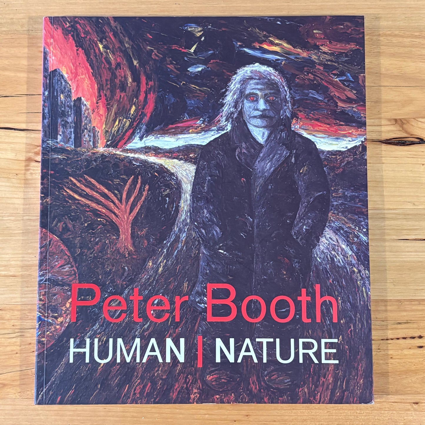 Peter Booth Human Nature NGV Australian Artist Paperback 2003 GD