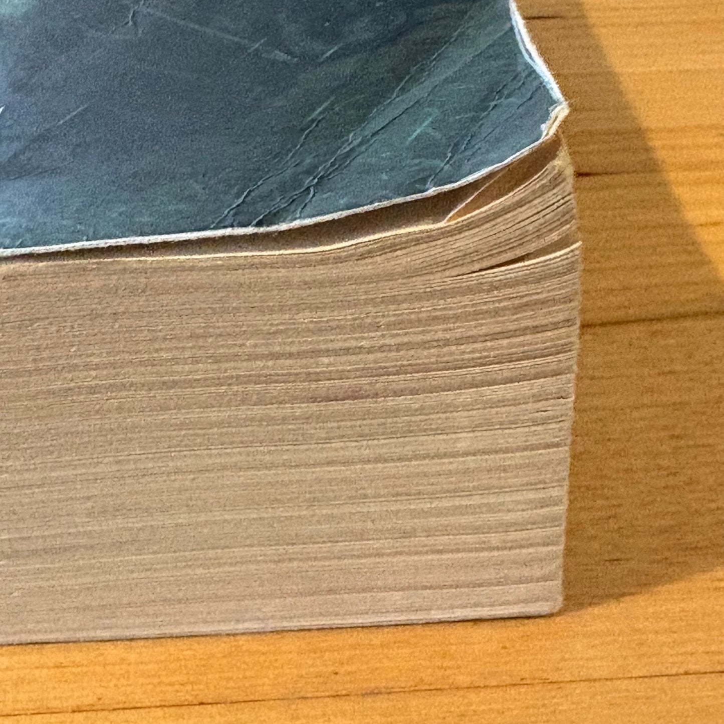 The Lord Of The Rings by J.R.R. Tolkien 2001 Paperback GD