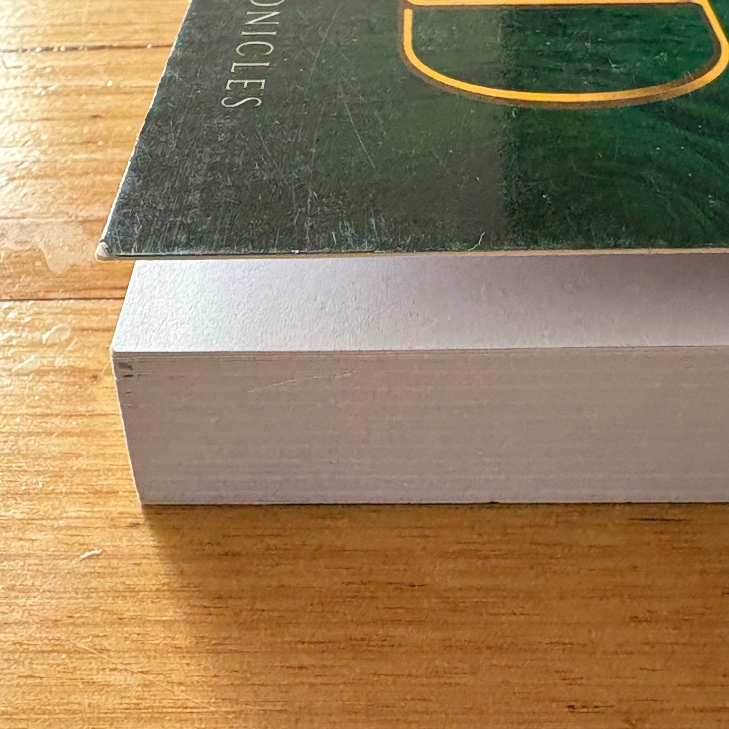 The Beginning Of The End Adam J. Scholte Fantasy Paperback 2022 GD