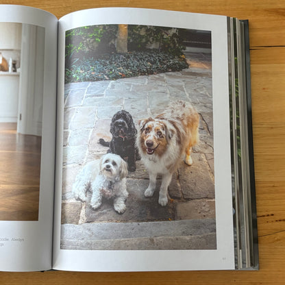 Dogs on Doorsteps by Suzanne Stephenson Hardcover 2022 GD