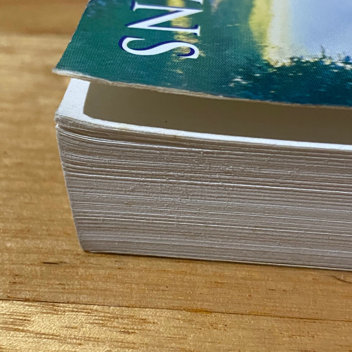 Fasting For Spiritual Breakthrough by Elmer L. Towns Paperback 1996 GD