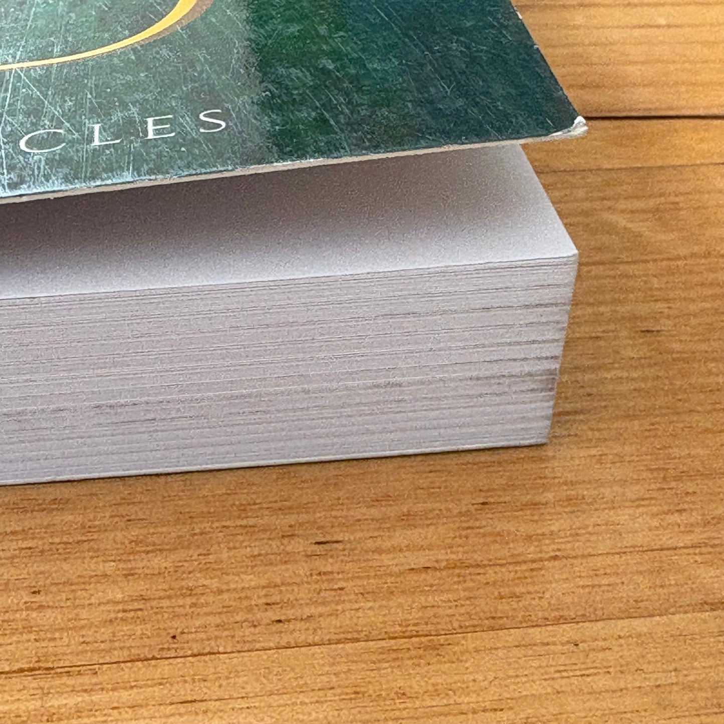 The Beginning Of The End Adam J. Scholte Fantasy Paperback 2022 GD