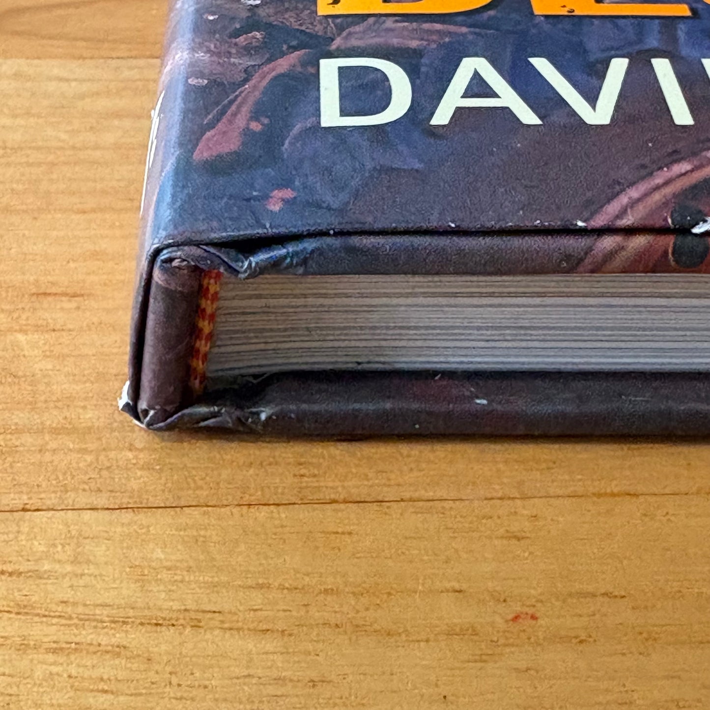 A Girl's Best Friend by David Darcy Hardcover GD