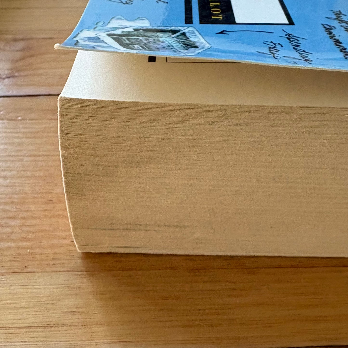 The Complete Tightwad Gazette by Amy Dacyczyn Frugal Zealot Paperback GD