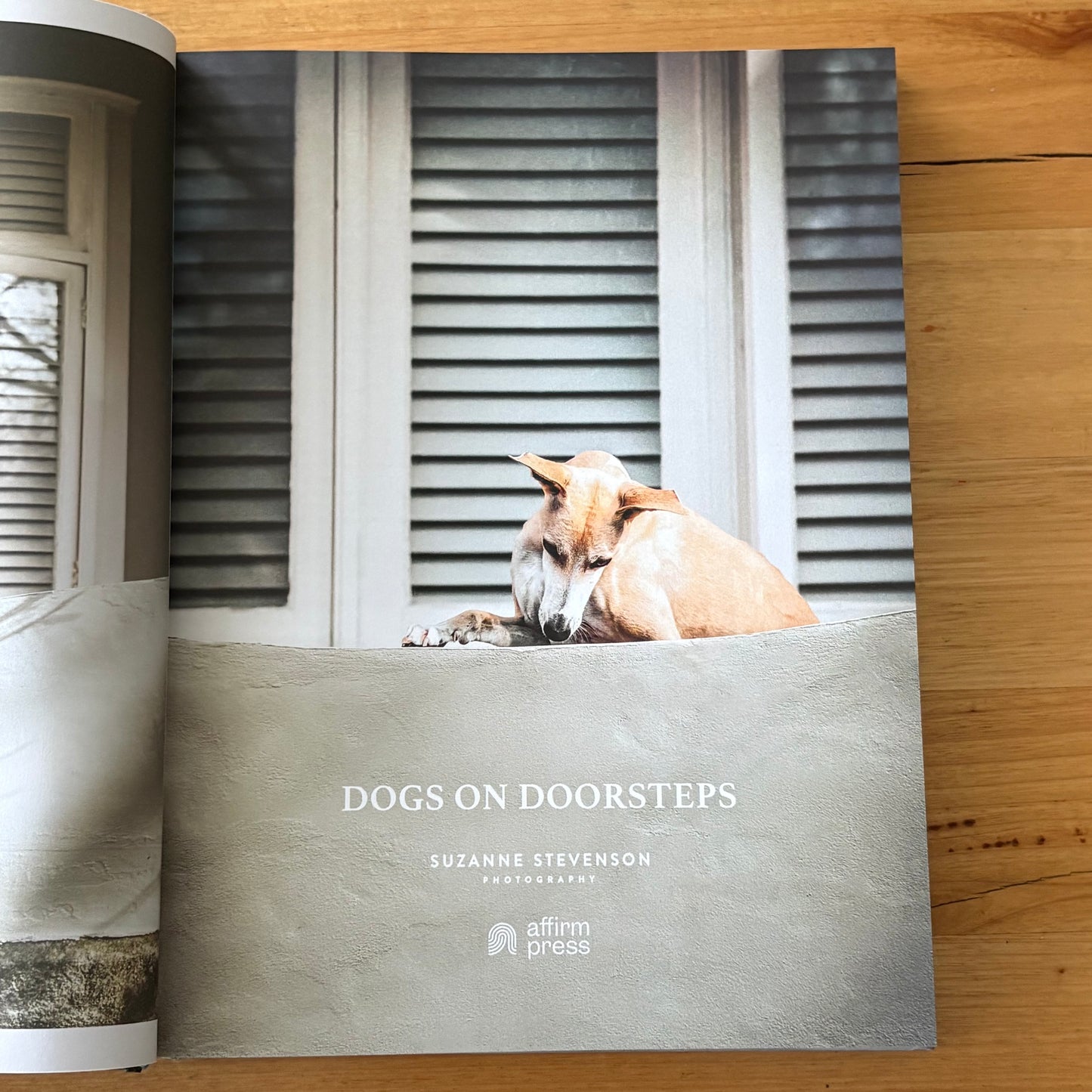Dogs on Doorsteps by Suzanne Stephenson Hardcover 2022 GD