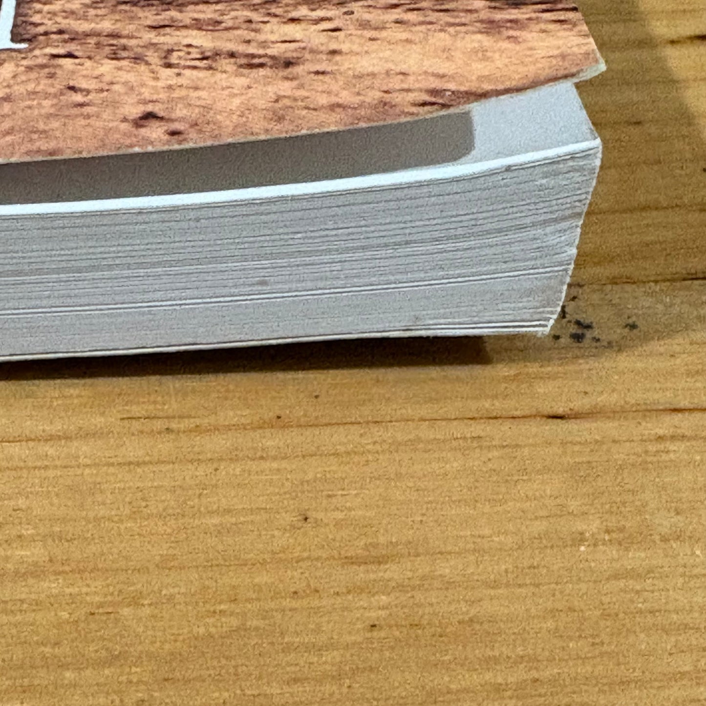 1857 Year Of Hope In The Colac District Dawn Peel Paperback 2006 GD