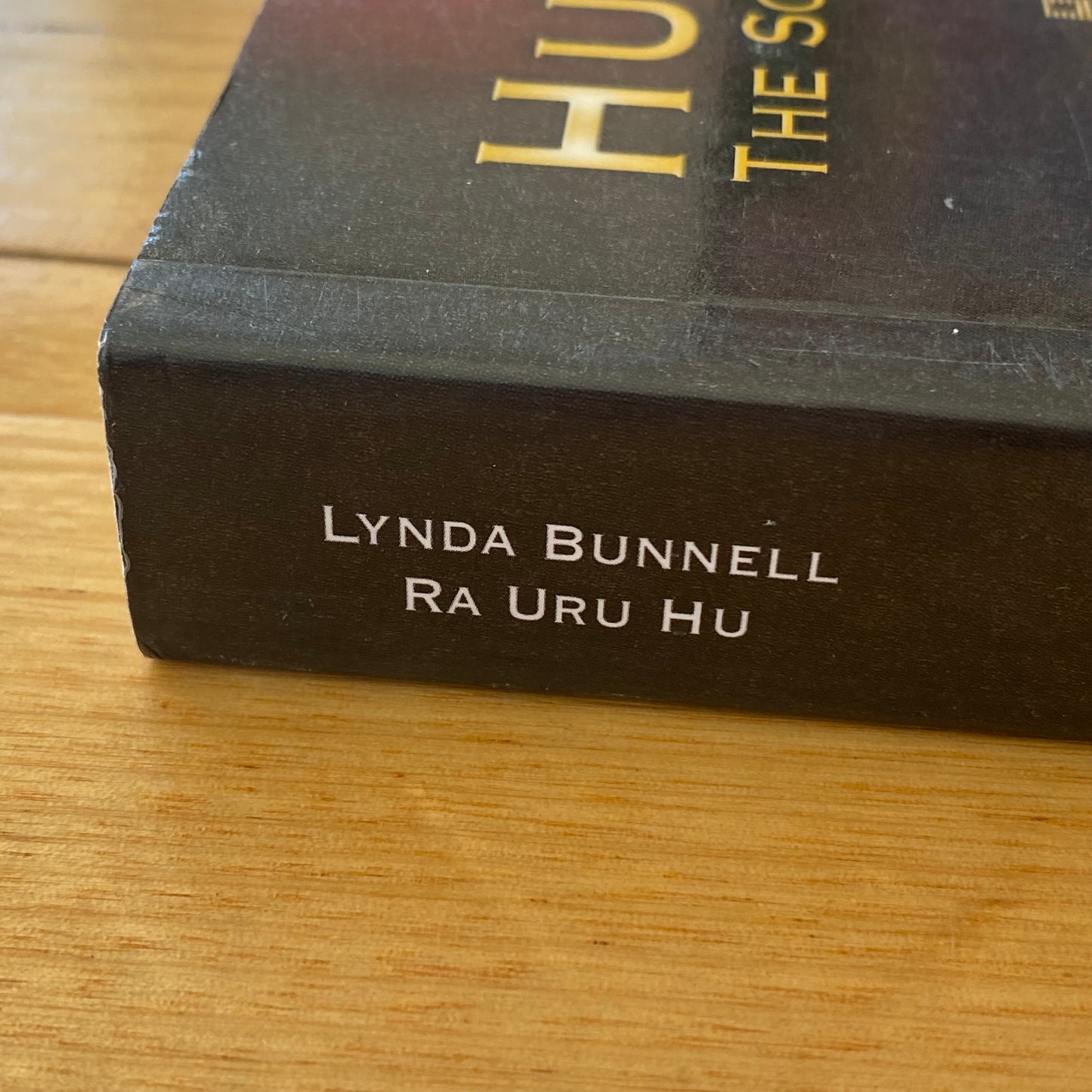 The Definitive Book Of Human Design by Lynda Bunnell Paperback 2020 GD