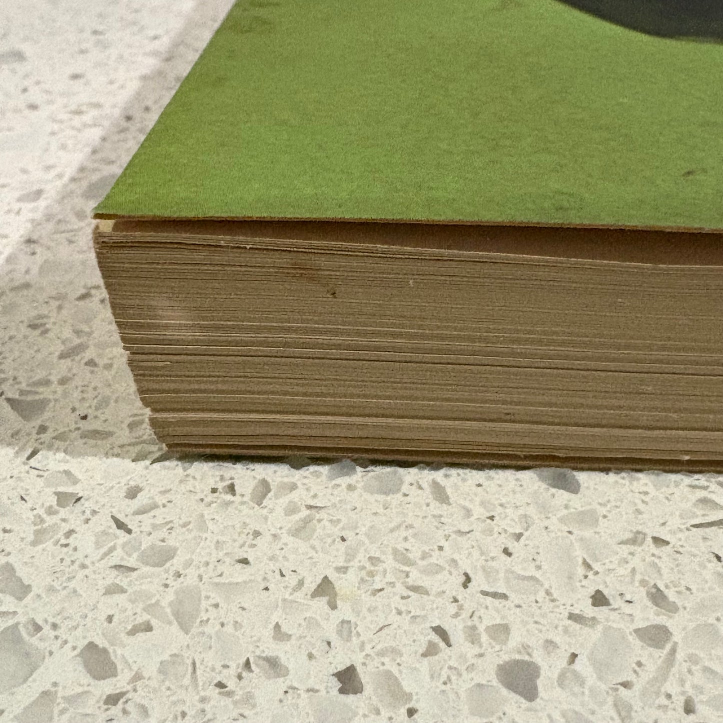 His Master's Voice by Jim Keays The Masters Apprentice Paperback 1999 GD