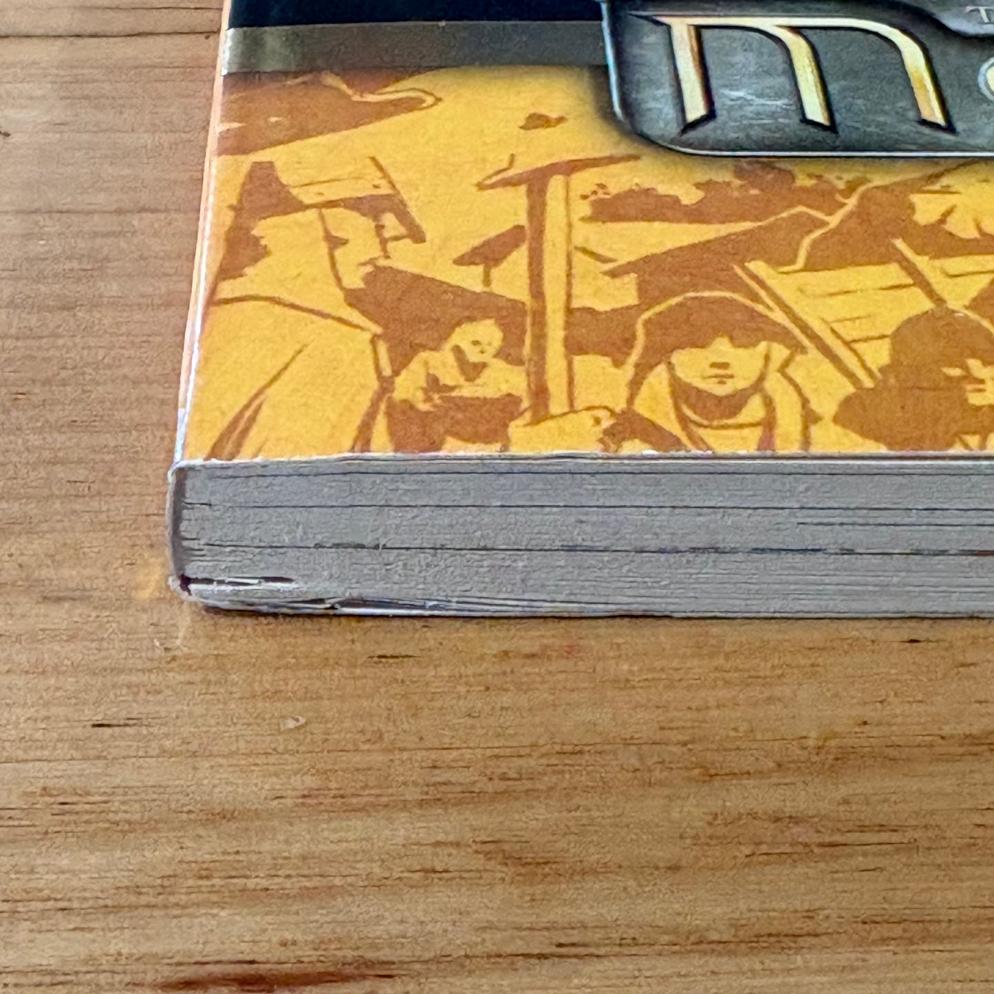 The Magic Begins The Adventures of Merlin Paperback 2009 GD