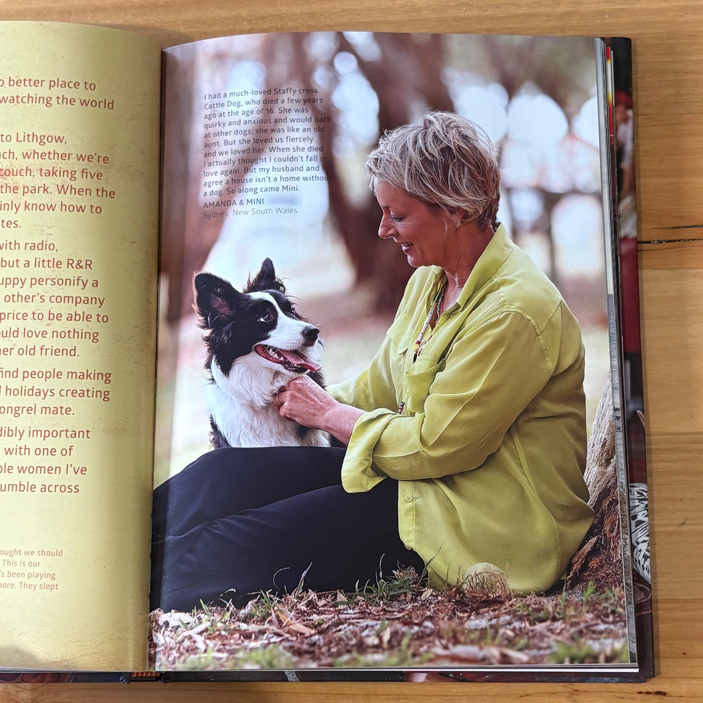 A Girl's Best Friend by David Darcy Hardcover GD