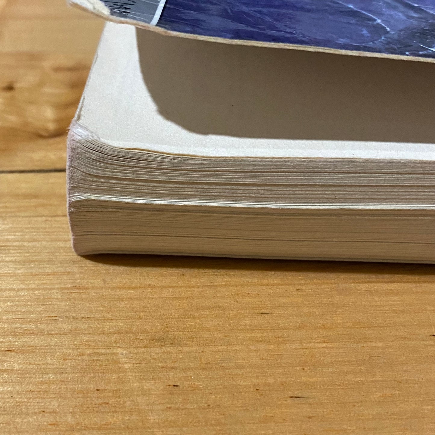 Lord Of The Rings The Two Towers J.R.R. Tolkien 1996 Illustrated Paperback GD