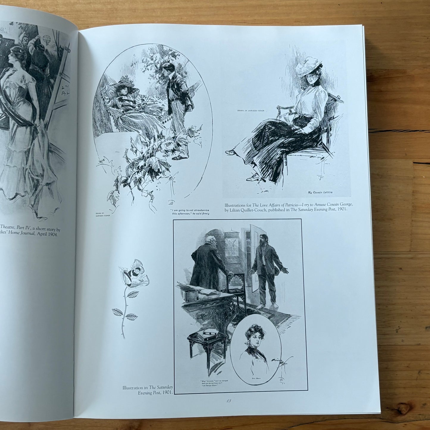 Harrison Fisher Defining The American Beauty Paperback 1999 GD